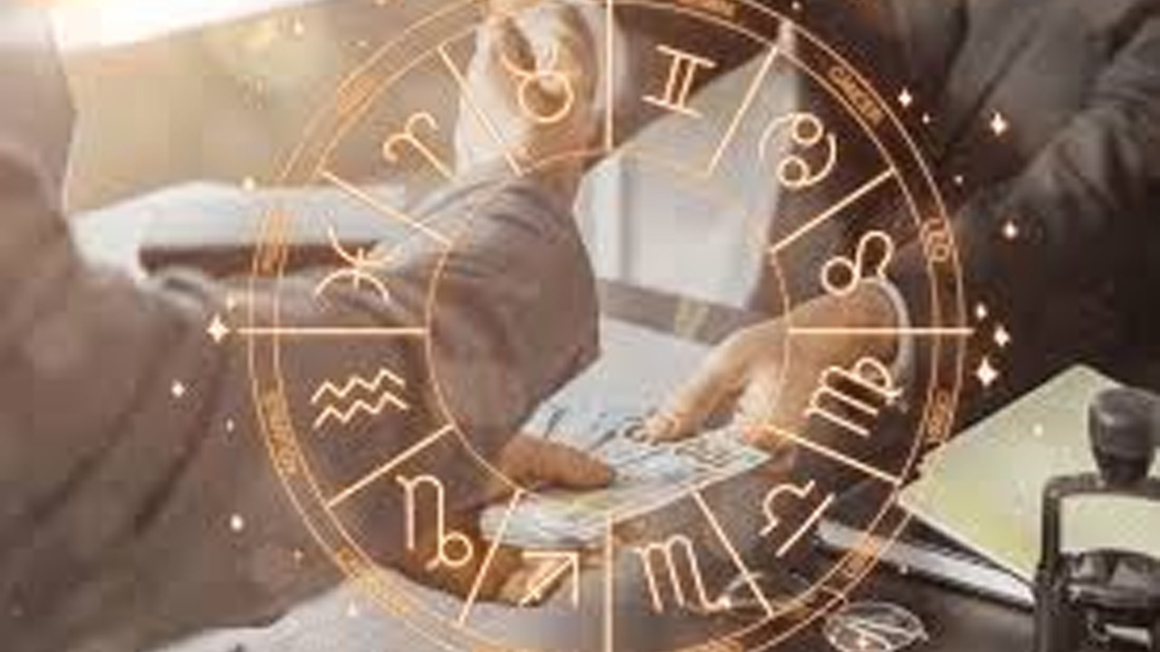 business job protection